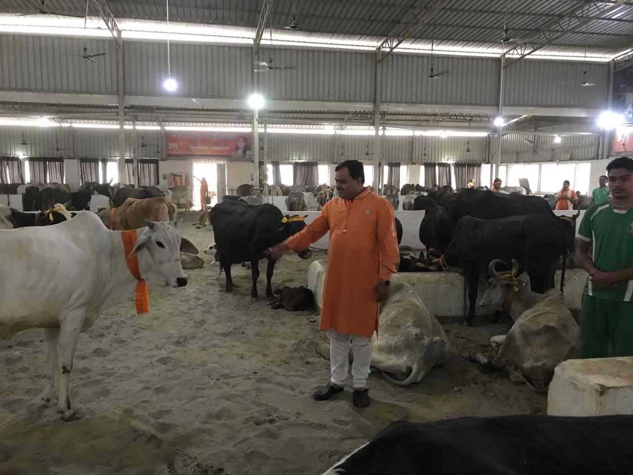 राष्ट्र निर्माण गौ सेवा एवं संरक्षण परियोजना